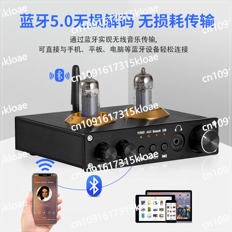 

A9 fever tube bile pre-stage 5.0 Bluetooth high and low sound adjustment USB lossless playback