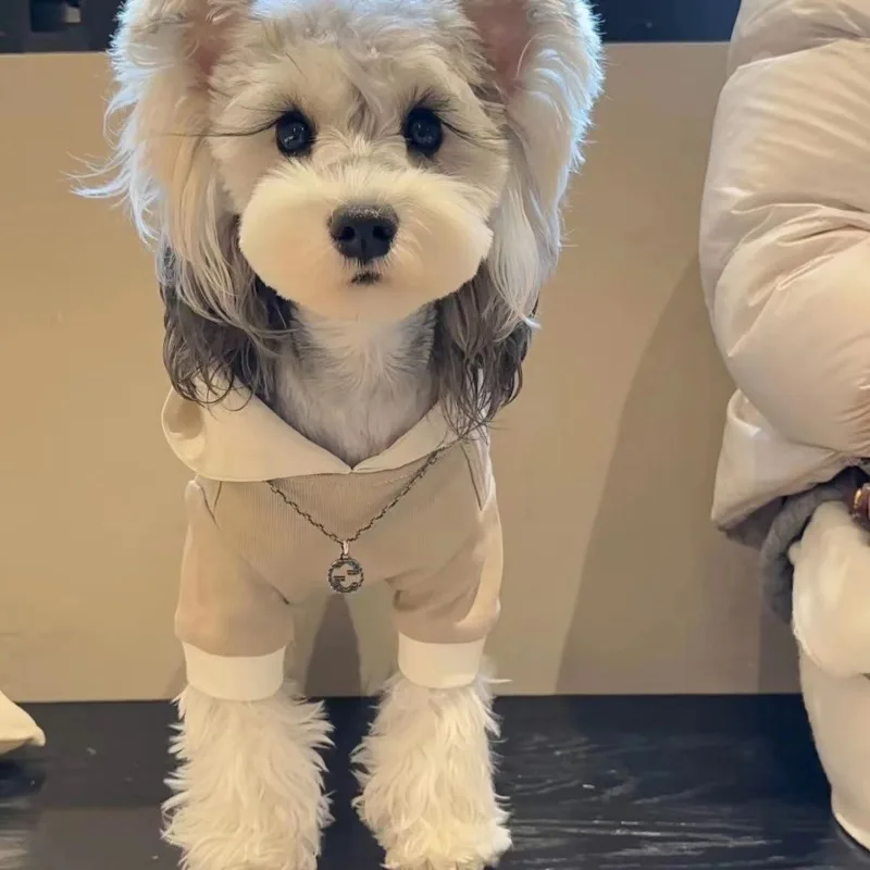 Autumn and Winter New Dog Clothes Thickened and Warm Dharma Dou Schnauzer Bixiong Teddy Shiba Dog Cat Sweater Coat image 3