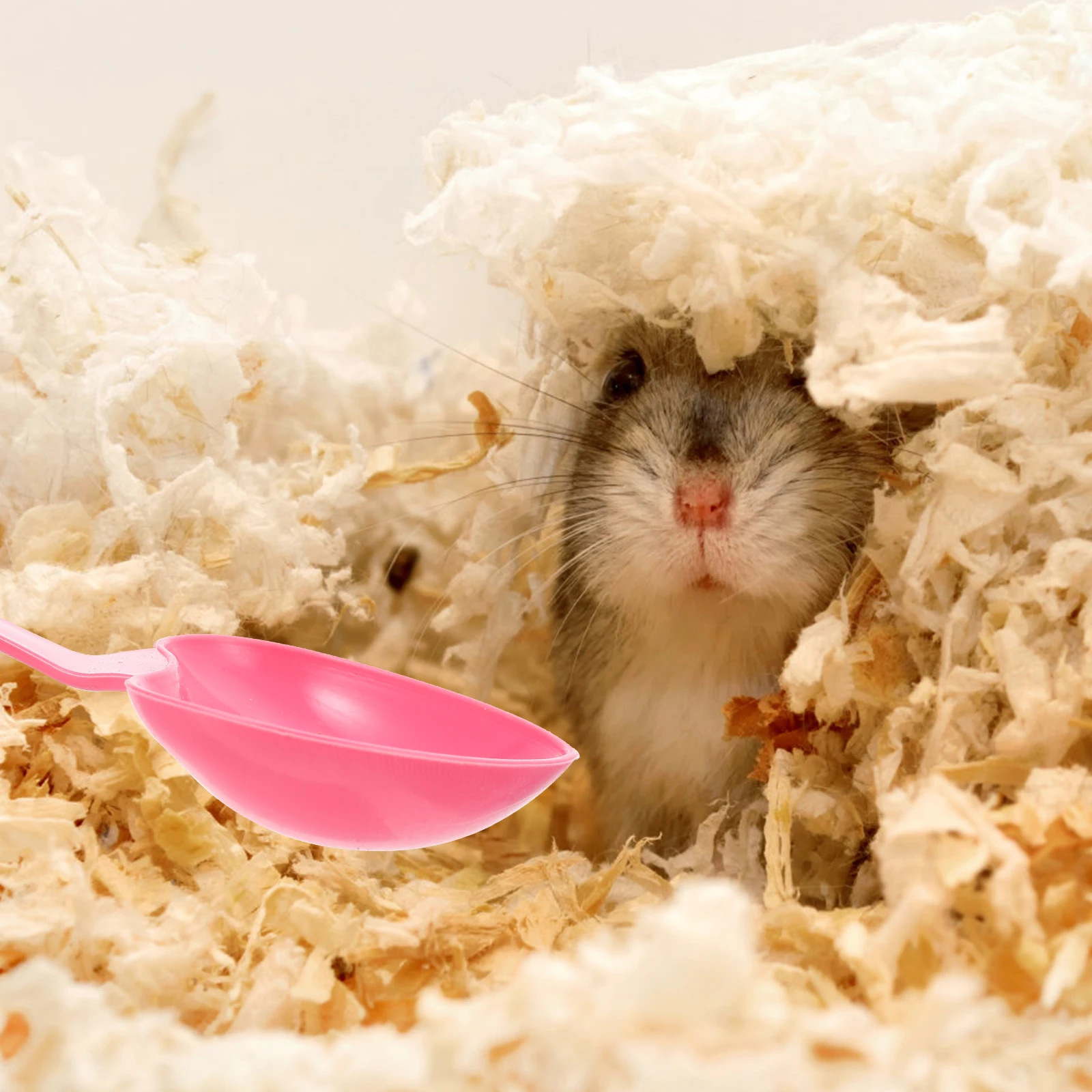 

10pcs Premium Pet Food Scoop For Small Animals Cute Shaped Feeding Spoon Easy Clean Hamster Dog Reptile Grain Tool