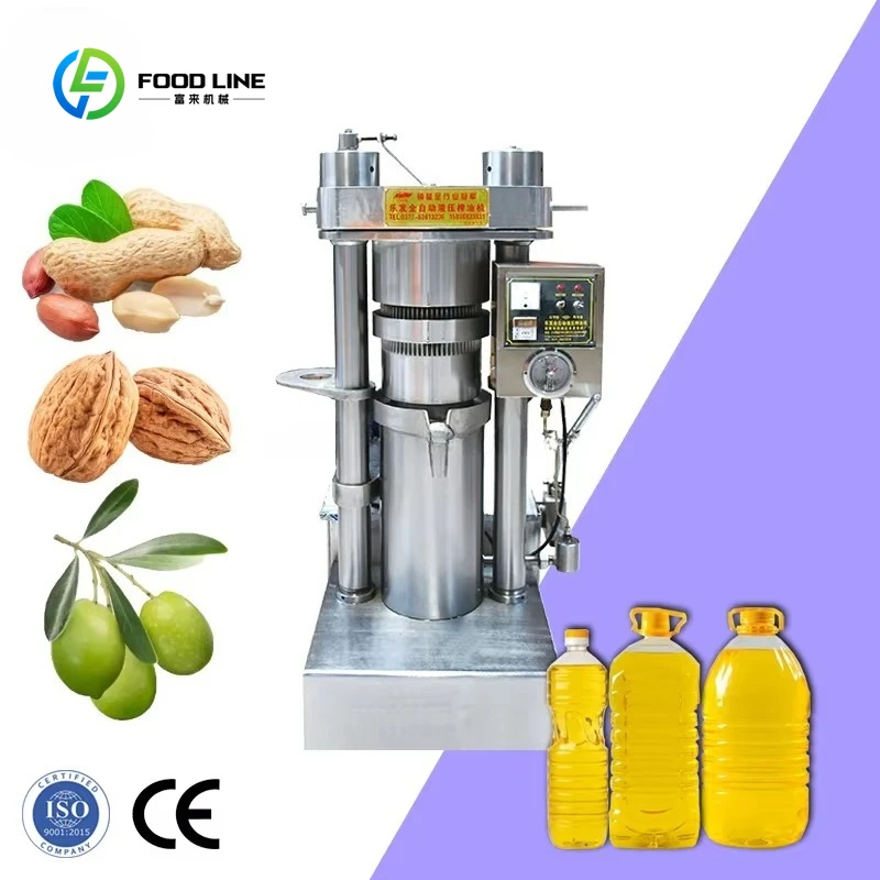 Customized Automatic Garlic Ginger & Soybean Oil Extraction Plant Machine Oil Hydraulic Cold Press High Capacity