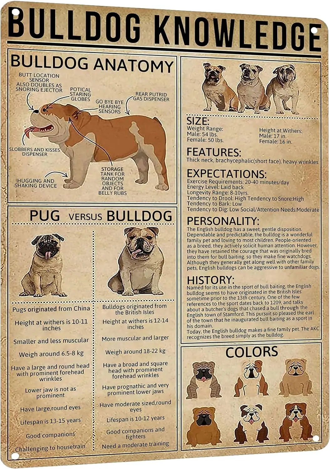 HYBLOM Plaque Métallique Vintage Bulldog Knowledge - Décoration Murale pour Amateurs de Chiens - Affiche Éducative sur l'Anatomie et les Races de Bulldog - Panneau Rustique
