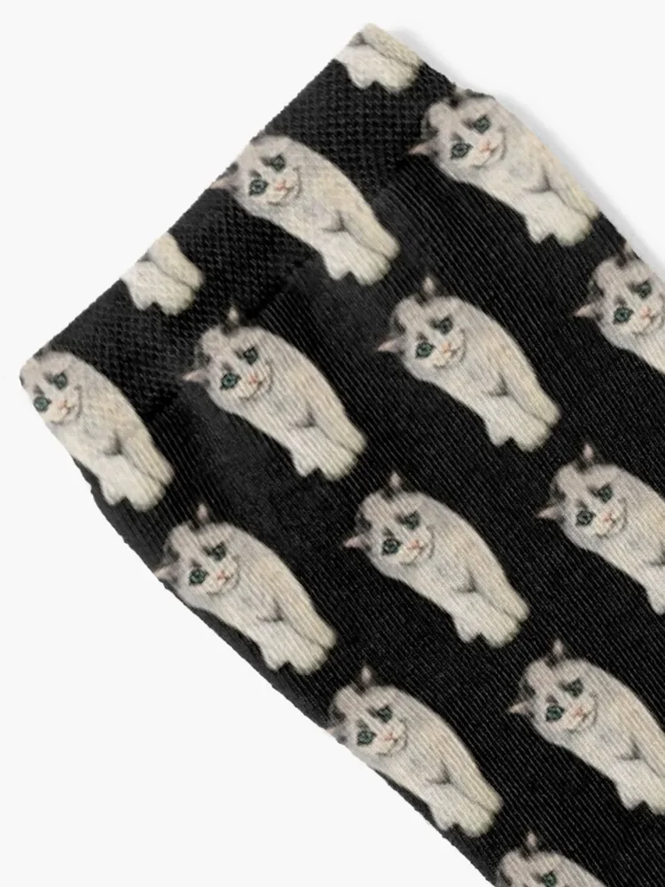 Adorable Ragdoll kucing stiker kaus kaki baru senang retro kaus kaki wanita pria