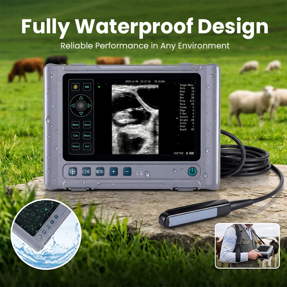 

Veterinary Animal Ultrasound Scanner Machine Transrectal Probe For Cattle Sheep 8-inch Screen Waterproof Ultrasound Machine