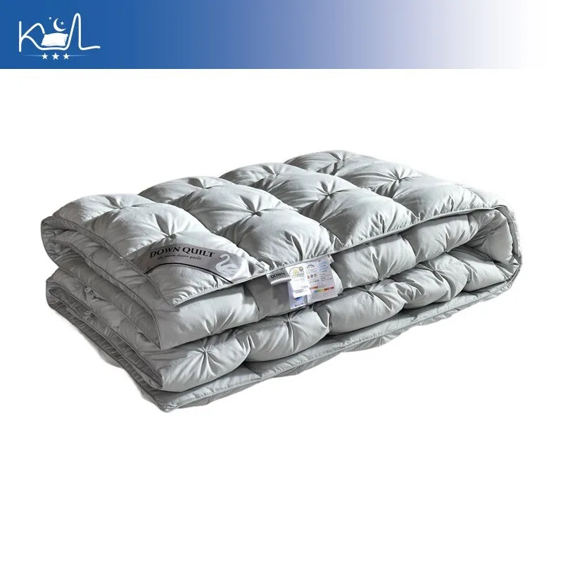 Luxury 5-Star Hotel Grade 95% White Goose Down Filling Comforter Thickened Warm Spring Autumn Winter Quilt Core Bedding