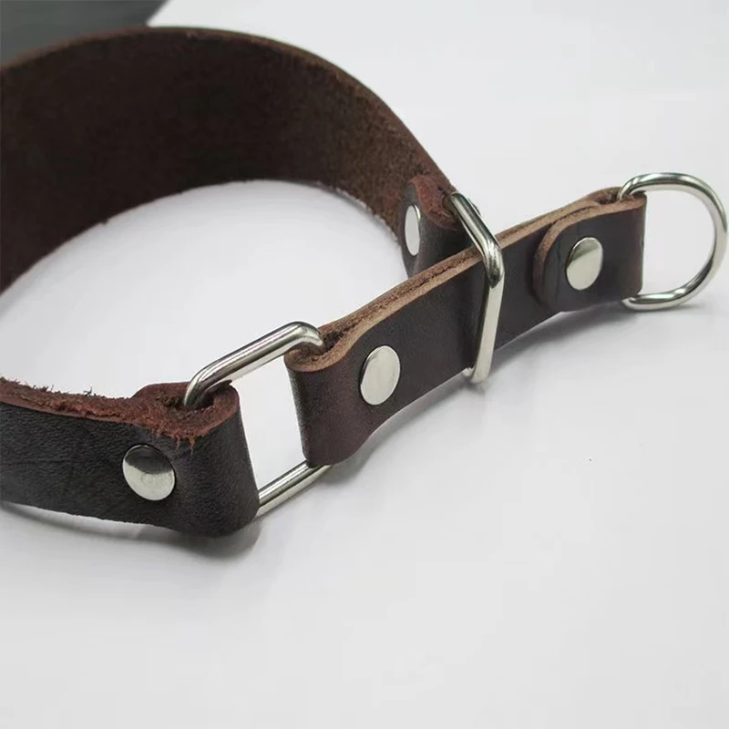 Durable Leather Dog Collar for Small Medium Large Dogs Collar Leash Dogs Cats Pet Supplies Accessories Training Collar Supplies