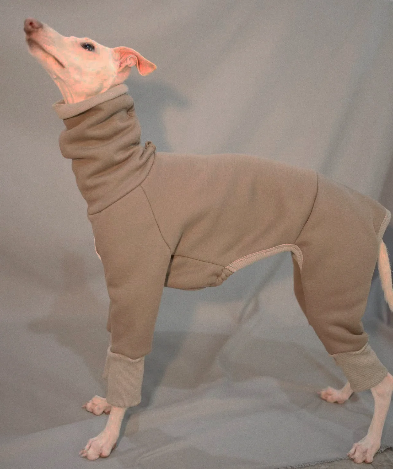 Gray puppy onesie high collar whippet sweatshirt Italian greyhound velvet warm coat