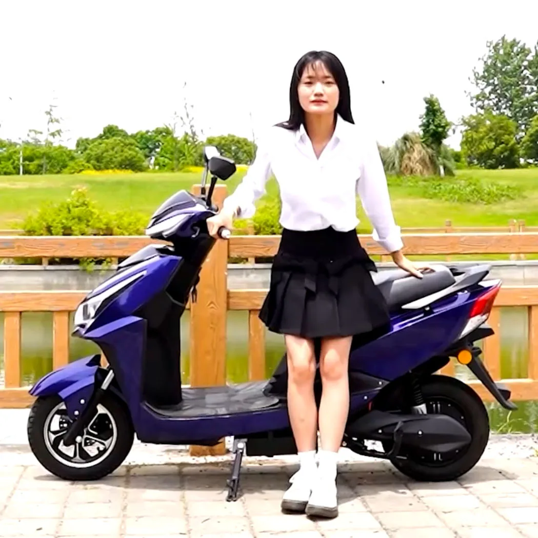 

10 Inch Electric Motorcycle Scooter Adult 600W 800W 40-50km/h Speed 45-65km Range Eec Electric Moped