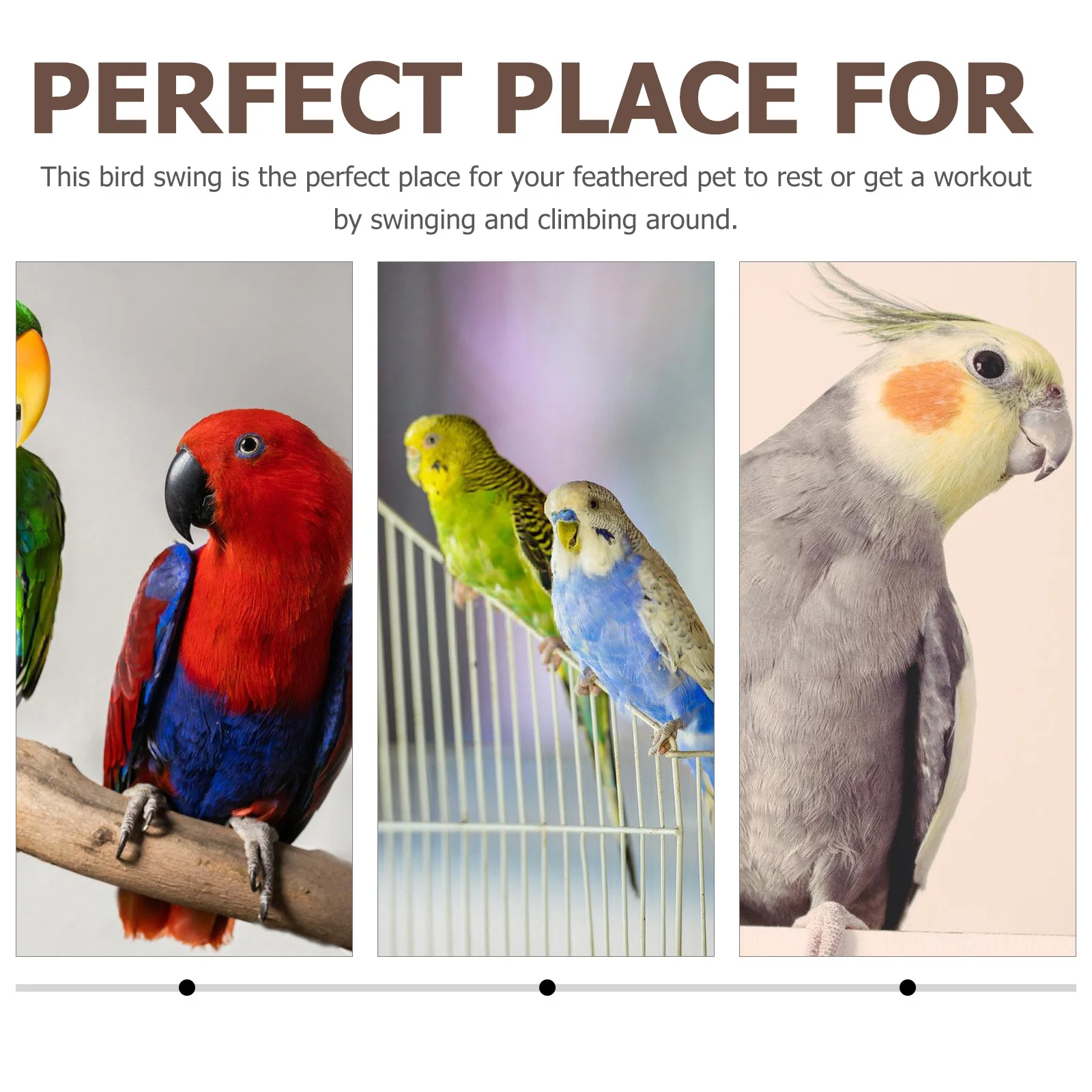 

Long-Lasting Parrot Swing Braided Ring Bird Stand Rattan Bite Entertainment Feathered Pet Playground Pet Bite Toy