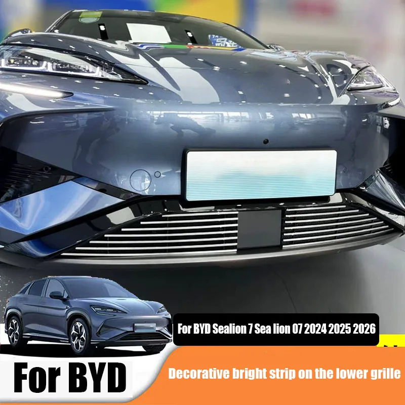 For BYD Sealion 7 Sea lion 07 2024 2025 Decorative bright strip stainless steel insect screen on the lower grille