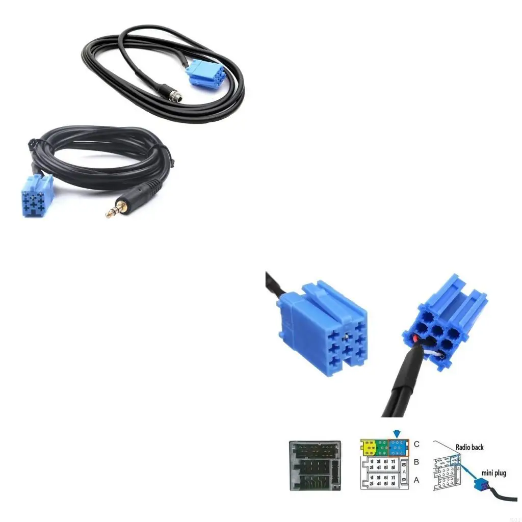 Female/Male Aux In …