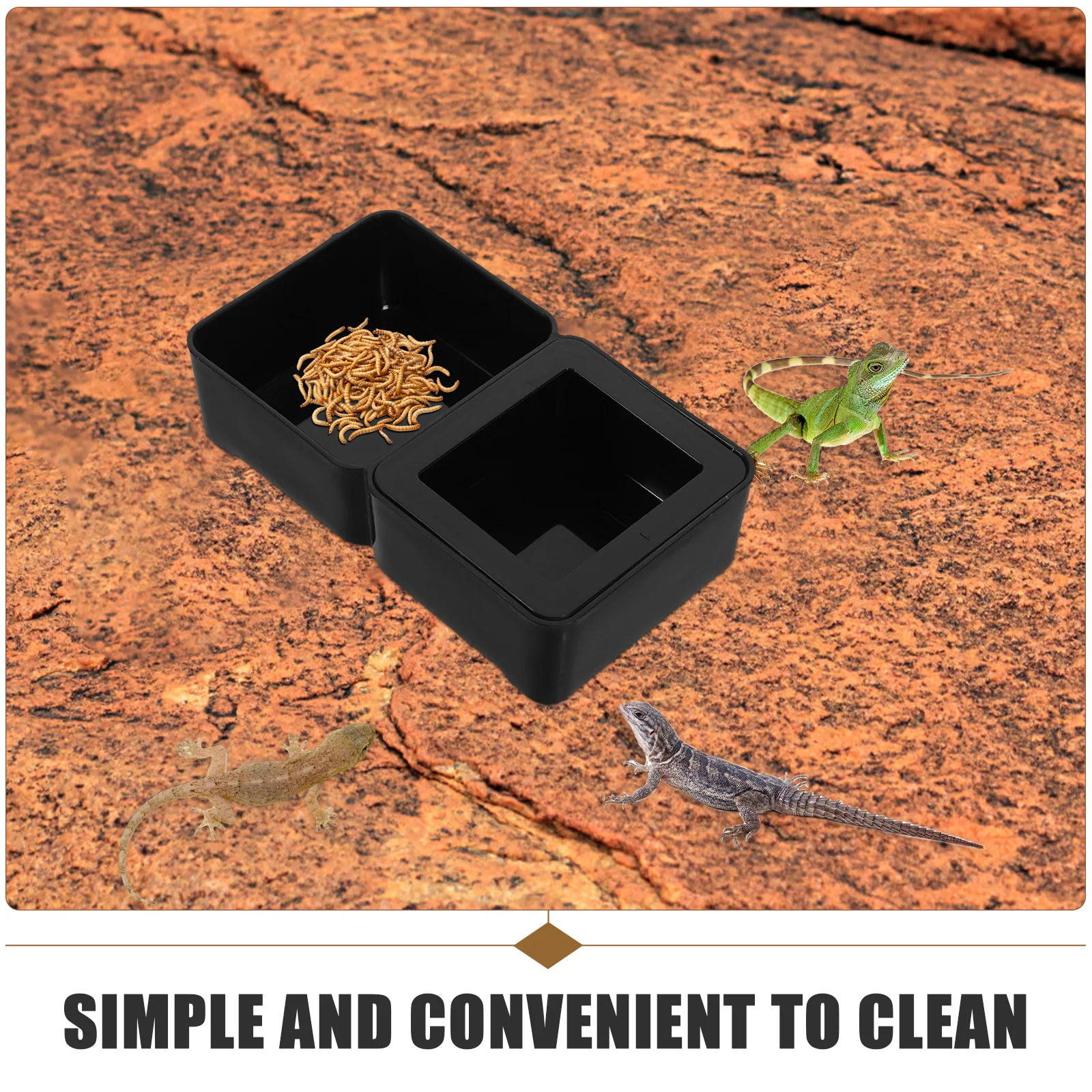 

Reptile Food Water Bowl Plastic Terrarium Escape-Proof Feeder Worm Dish for Bearded Dragon Gecko Lizard Turtle