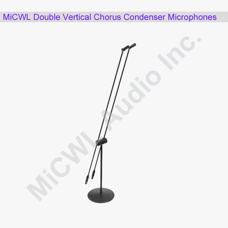 MiCWL C20 ميكروفون مزدوج قائم بميكروفون فائق القلبي لمجموعة جوقة ستوديو المرحلة القطب مع حزمة المدرجات