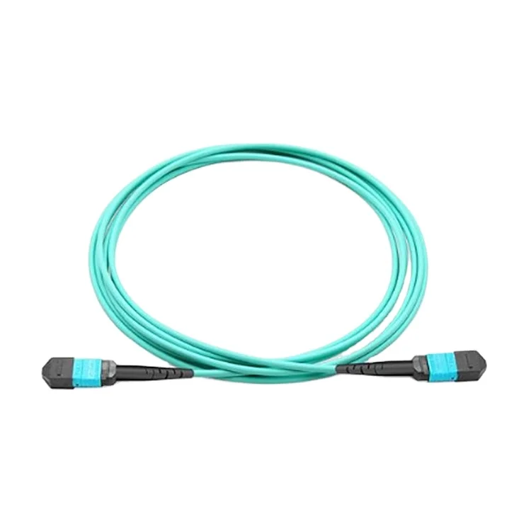 

Mouse-proof MPO /MTP Multimode Duplex Om3 Om4 8/12 Cores 2/3 m Multimode Trunk Cablecustomizable Female Fiber Optic Patch Cord