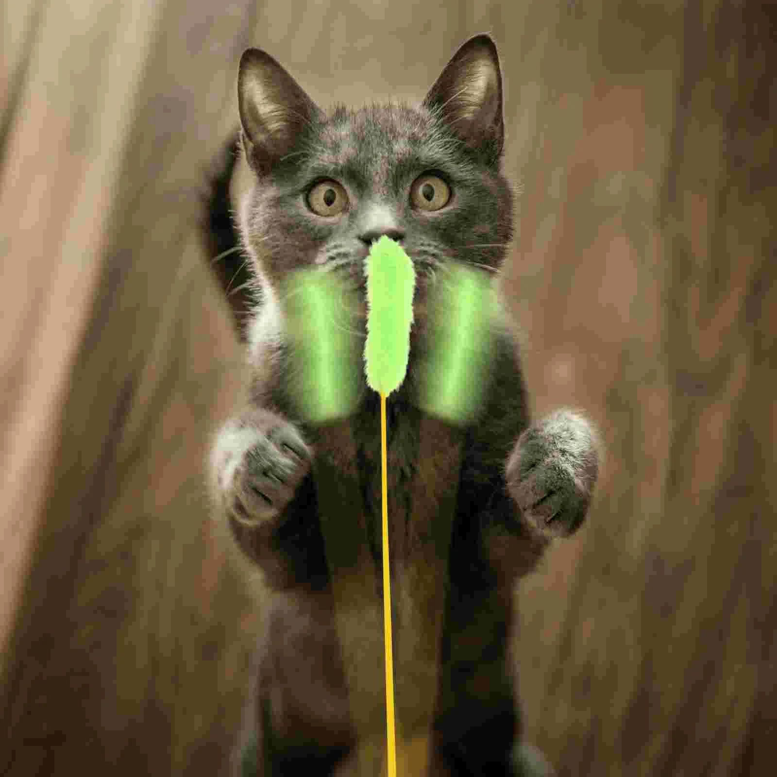 10pcs Plush String Toy Training Wand Cat Interactive Plush Wand Toy Funny Stick Teaser for Cat Kitten (Random Color)