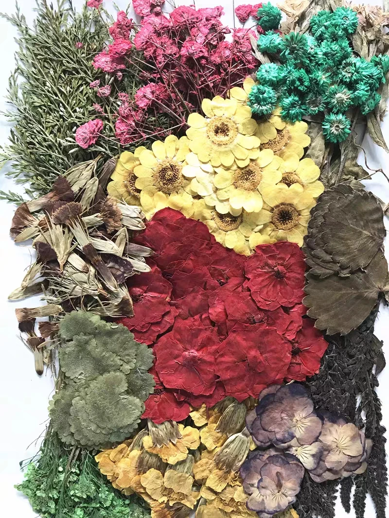 

260pcs Assorted Pressed Dried Flowers Leaf Plant Herbarium For Jewelry Pendant Ring Earrings Flower Making Accessories