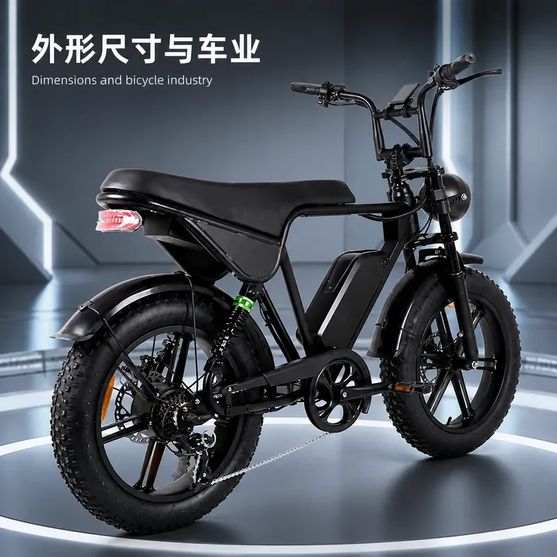 7 Speed Fat Tire Electric Bicycle Off Road Snow Ebike Variable Speed E Bike Motorcycle Style Electric Vehicle for Adults
