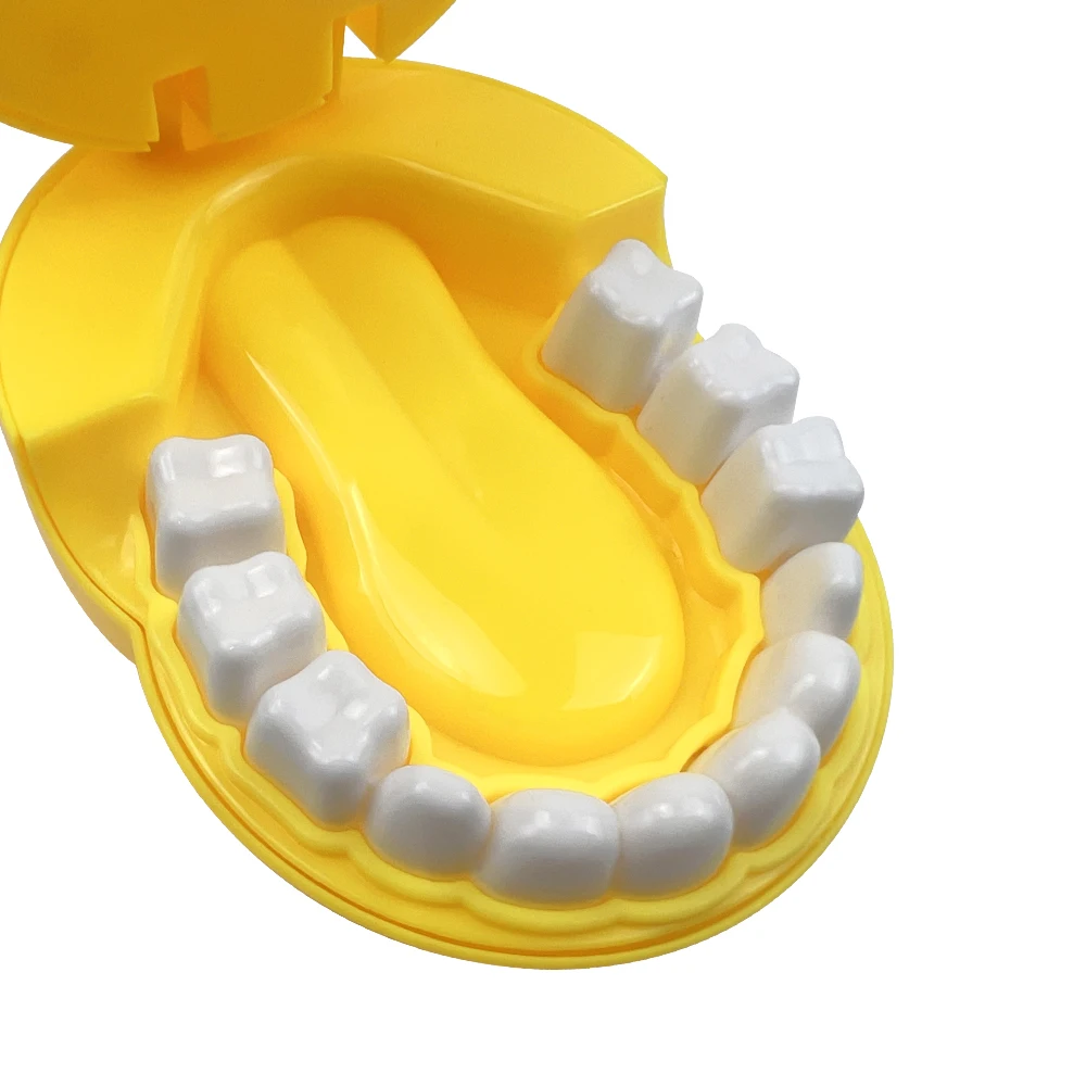 Removable Dental Teeth Model with Brush Demo Teeth Teaching Brushing Model for Learning Dentisty Clinc Gifts