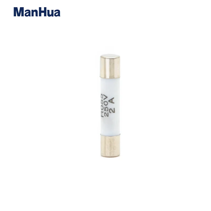 ManHua 100Pcs 5x20mm 5x25mm Quick Blow Glass Tube Fuse Assorted Kits Fast-blow Glass Fuses 0.5A 1A 2A 3A 4A 5A 6A 10A 16A R055