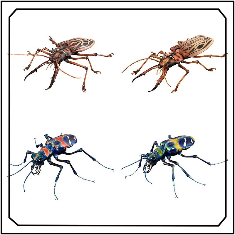 

Stag Beetle BANDAI Gashapon Insects Series Miniaturization Model Ornament Action Figure Model Toys