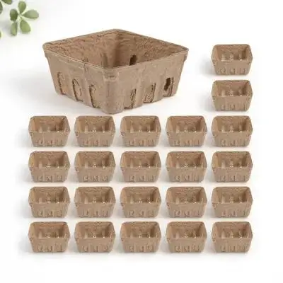 

50 Pcs Paper-plastic Fruit Tray Berry Baskets Picking Containers Disposable Refrigerator Household Fruit Trays Kitchen