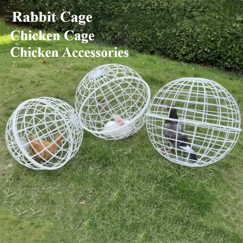 

Walking Chicken Cage Plastic Spherical Chicken Cage Round Rabbit Cage Can Roll Walk To Feed Free Range Chicken Hens Accessories