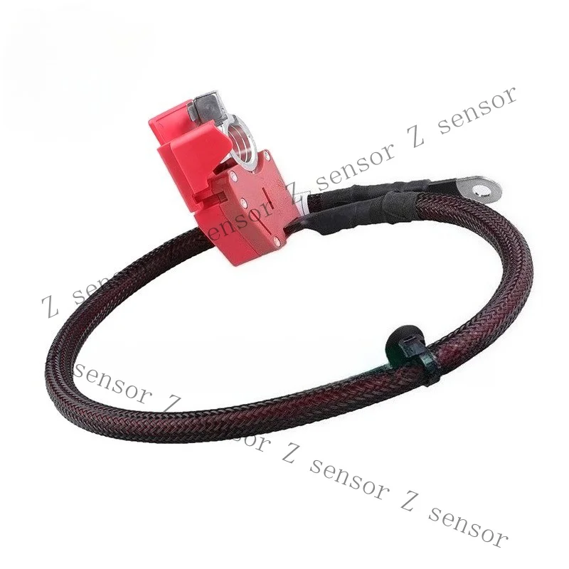 Z+ Car Positive Battery Cable For BMW G05 F95 X6 G06/F96 61128795485 6112879604