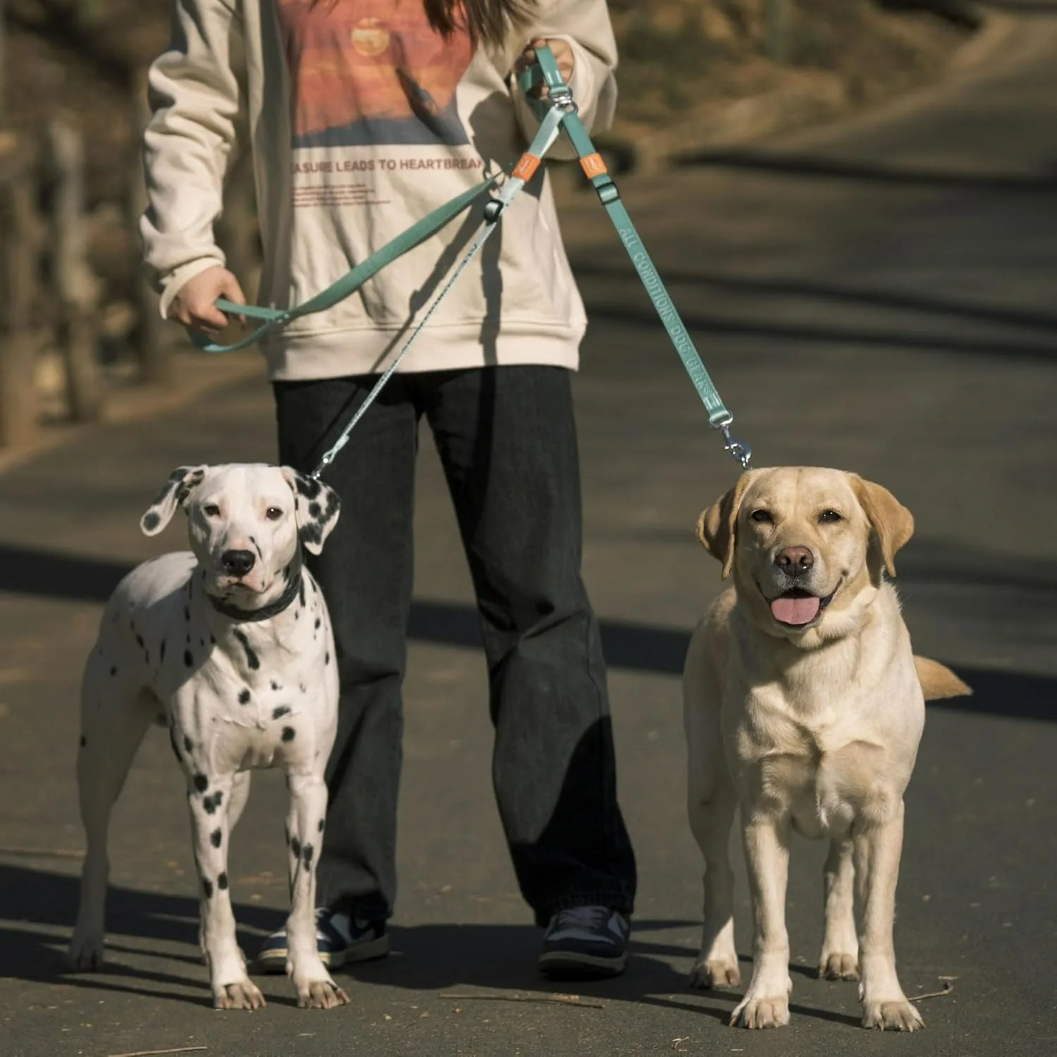 Double Dog Leash No Tangle Dual Dog Leash Lead Coupler Splitter Adjustable Two Handle Training Walking for Medium and Large Dog
