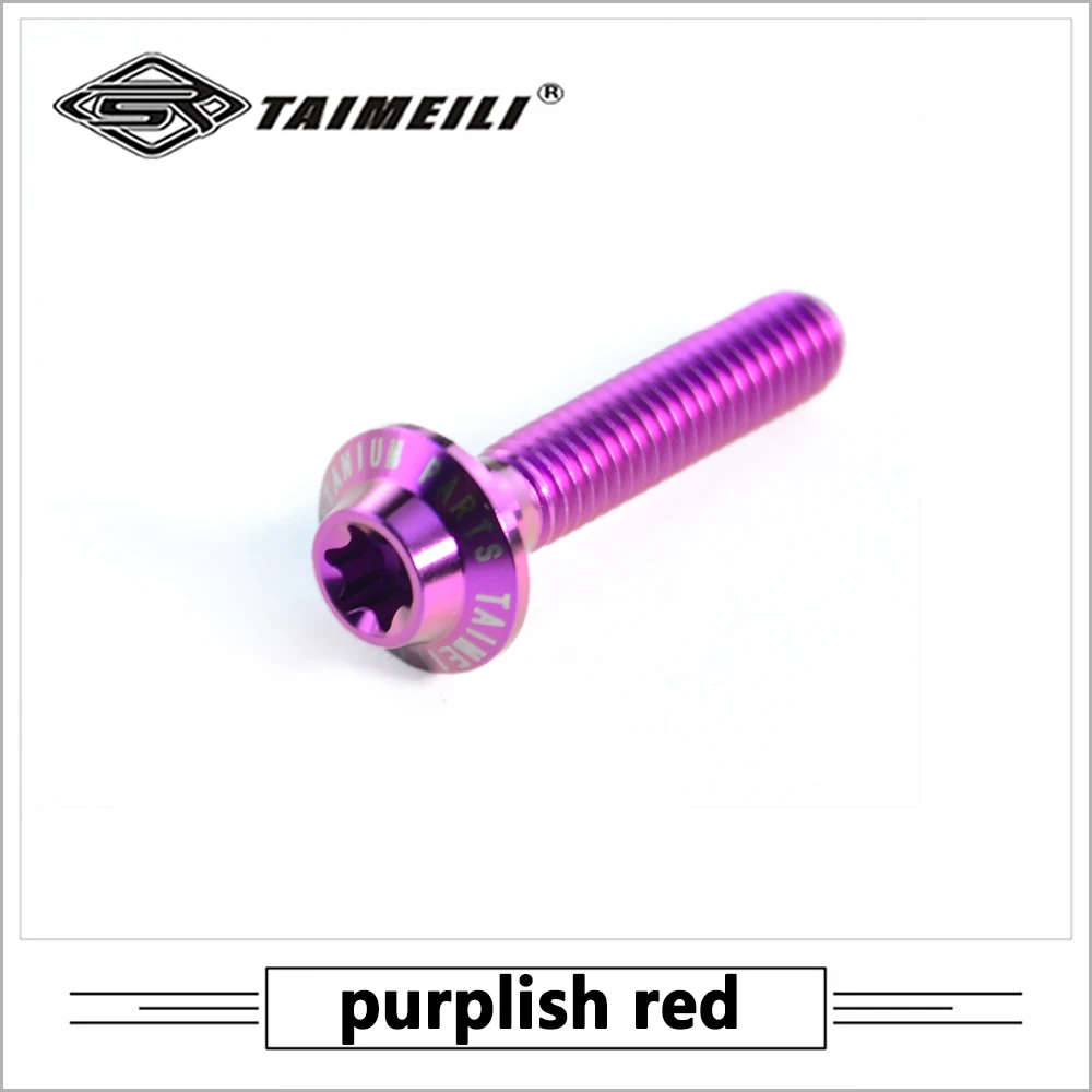 Taimeili 1 100pcstitanium合金ねじT1シリーズ傘ヘッドねじトルクス