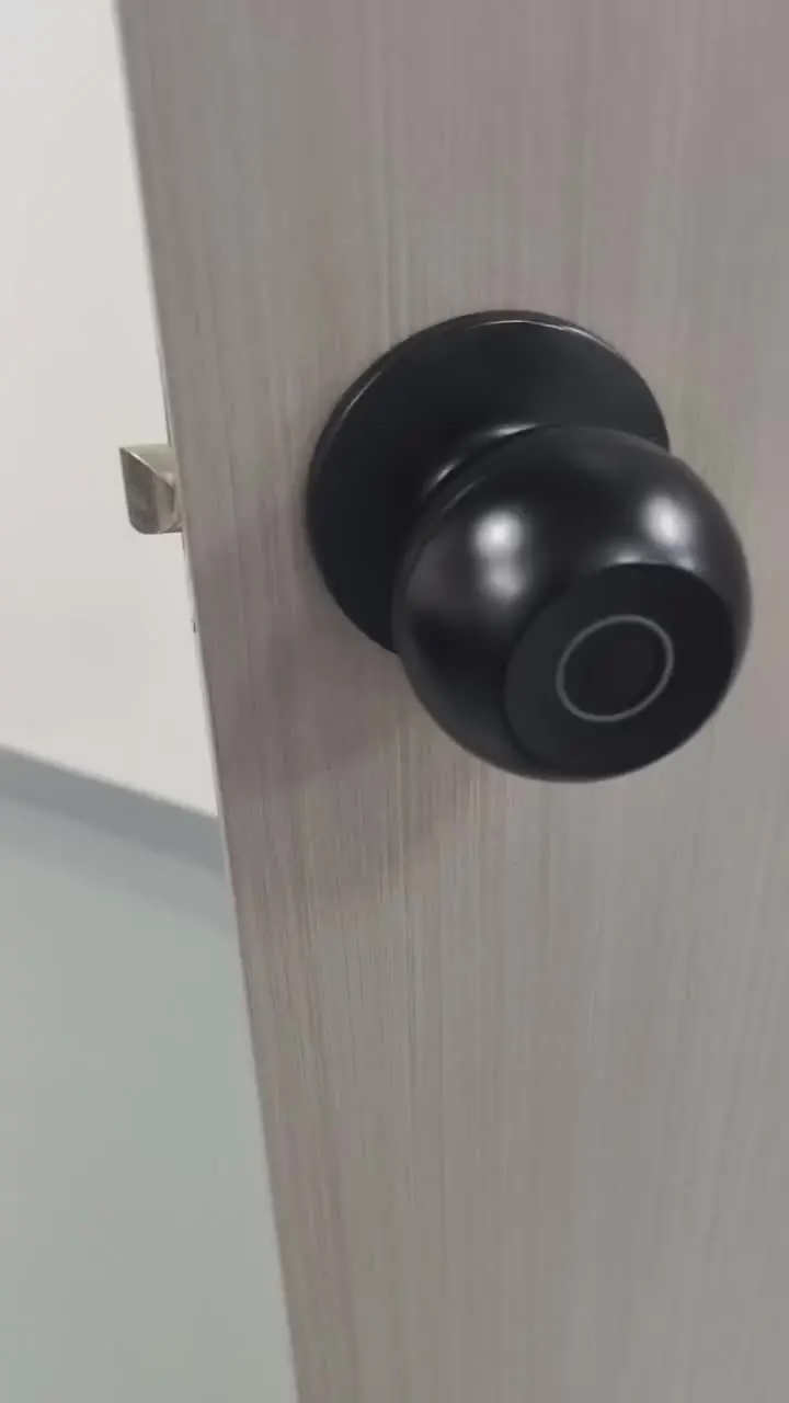 Smart Biometric Fingerprint Door Knob Lock Keyless Entry Matte Black Electronic Ball Lock for Bedroom Apartment.