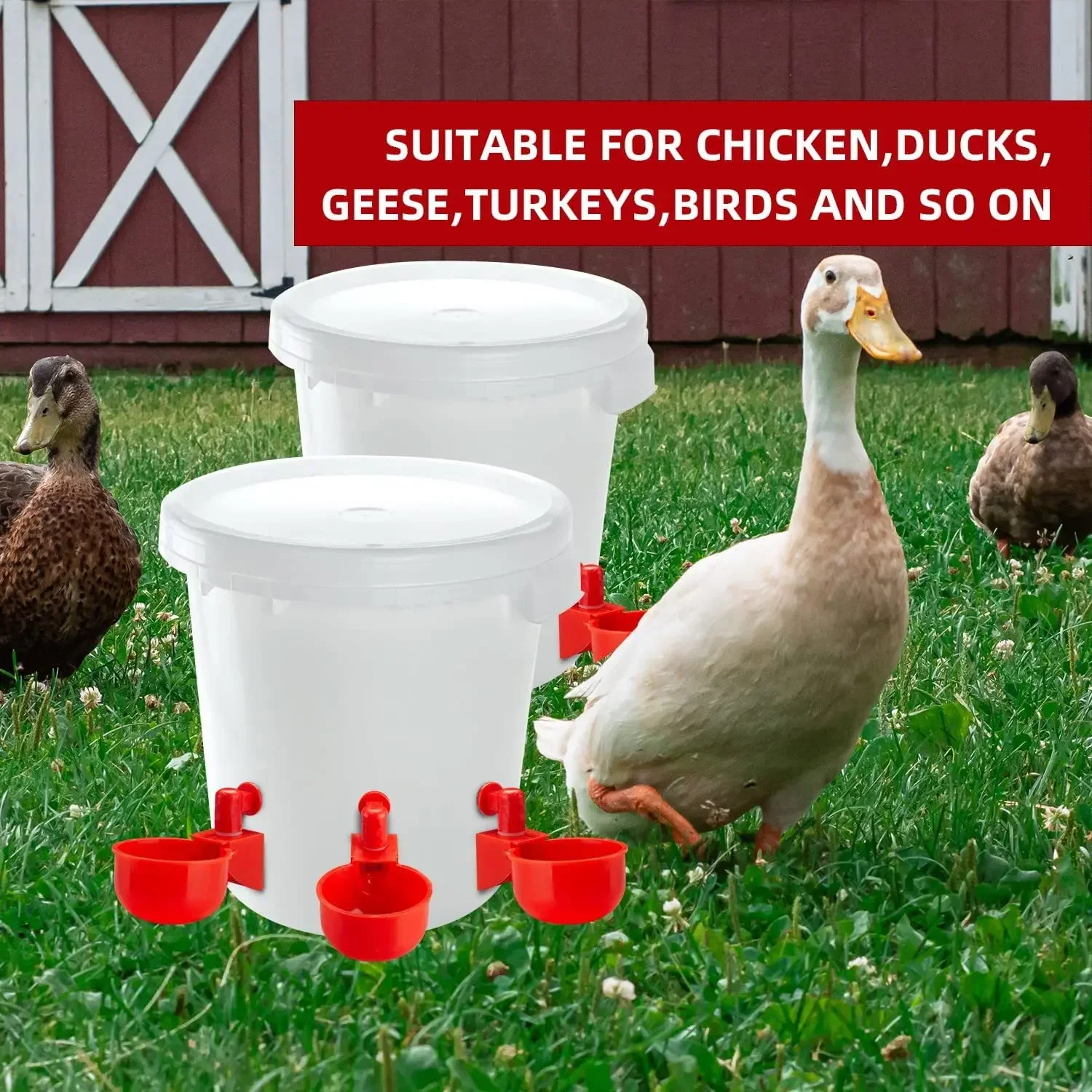 Chicken Drinking Cup Automatic Drinker Chicken Feeder Plastic Poultry Waterer Drinking Water Feeder for Chicks Duck Goose Quail