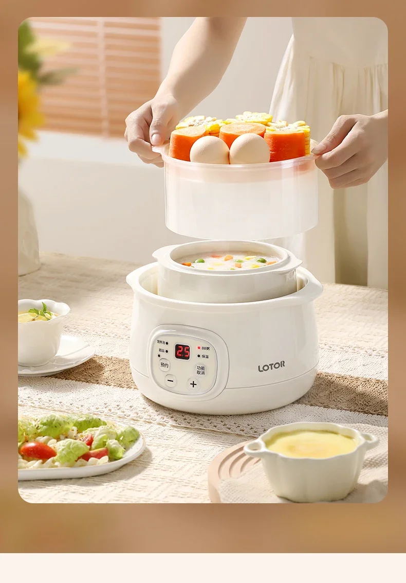 Marmite électrique multifonctionnelle pour aliments pour bébés, bouillie, soupe, accent d'oiseau et cuisson à la vapeur, 220V