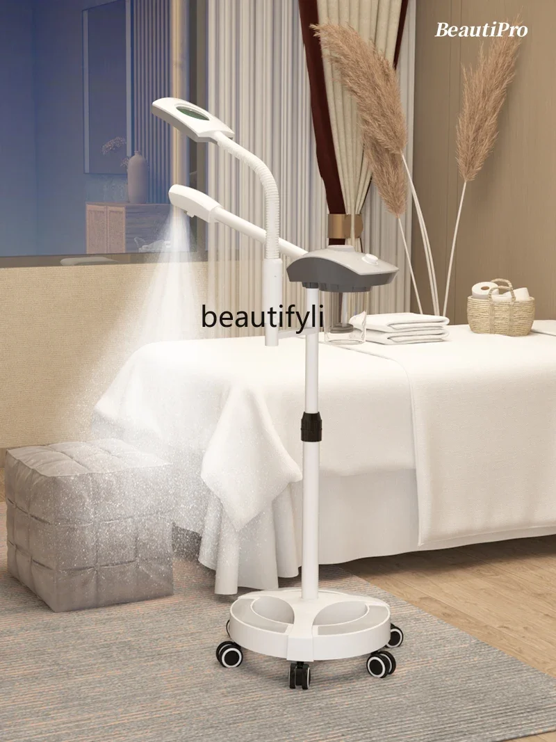 Hot Spray Instrument Beauty Salon Special Sprayer Facial Vaporizer Facial Delicate Hydrating Belt Tattoo Lamp