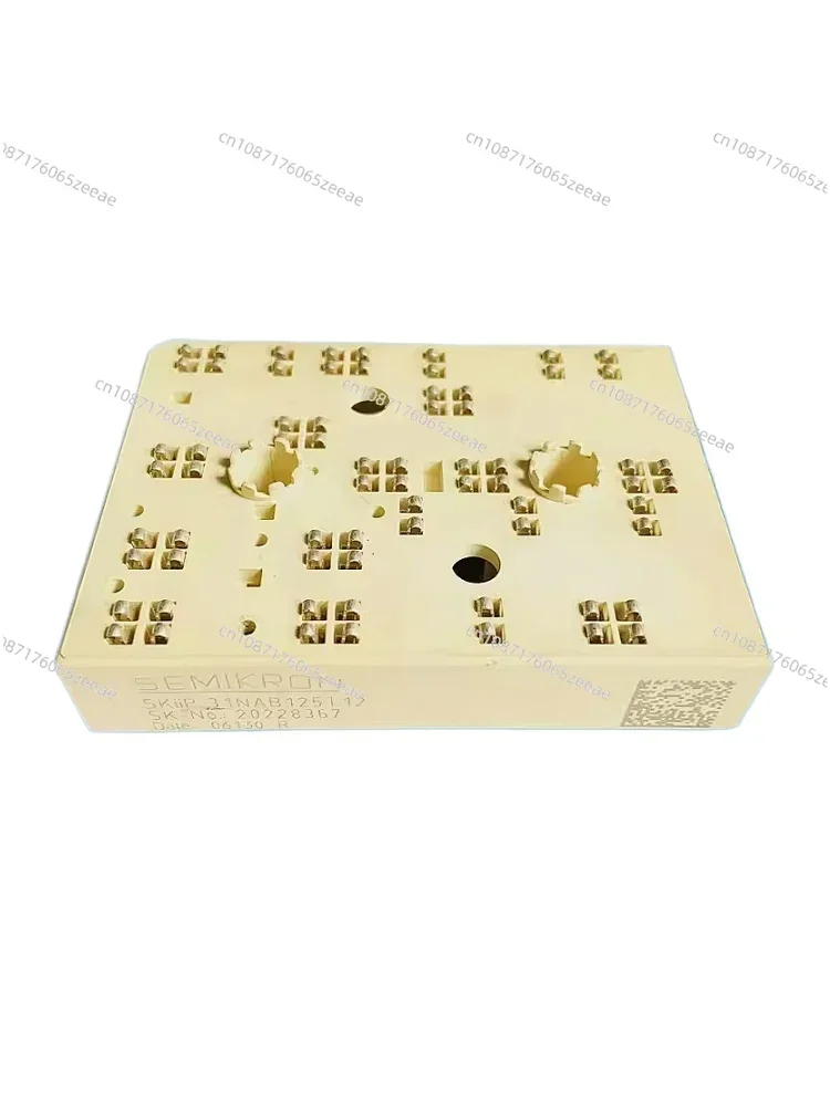 

SKIIP31NAB125T12 Disassembly Module SKIIP32NAB125T12 and SKIIP31NAB12T10