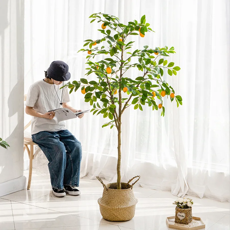 شجرة الليمون، نباتات خضراء، نباتات بوعاء، مشاهير الإنترنت، زهور ديكور داخلي كبيرة، زينة غرفة المعيشة، نباتات مزيفة