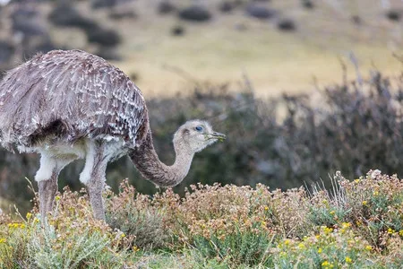 

2 шт. стойки стабилизатора поперечной устойчивости 104001-1875 для радиоуправляемой машины Wltoys 104001 1/10, запчасти и аксессуары