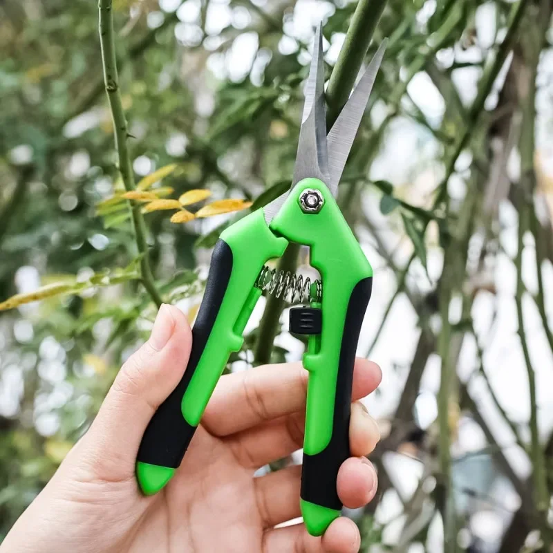 1/3PCS Gardening Pruning Shears Garden Scissors Hand Prun Multi-use Prun Shear Grape Fruit Tree Pick Potted Picking Scissor Tool