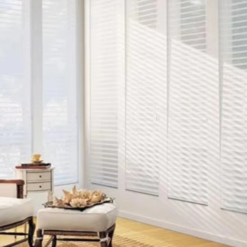 Electric Roller Shade Double Outdoor Retractable Motorized Blinds for Living Room