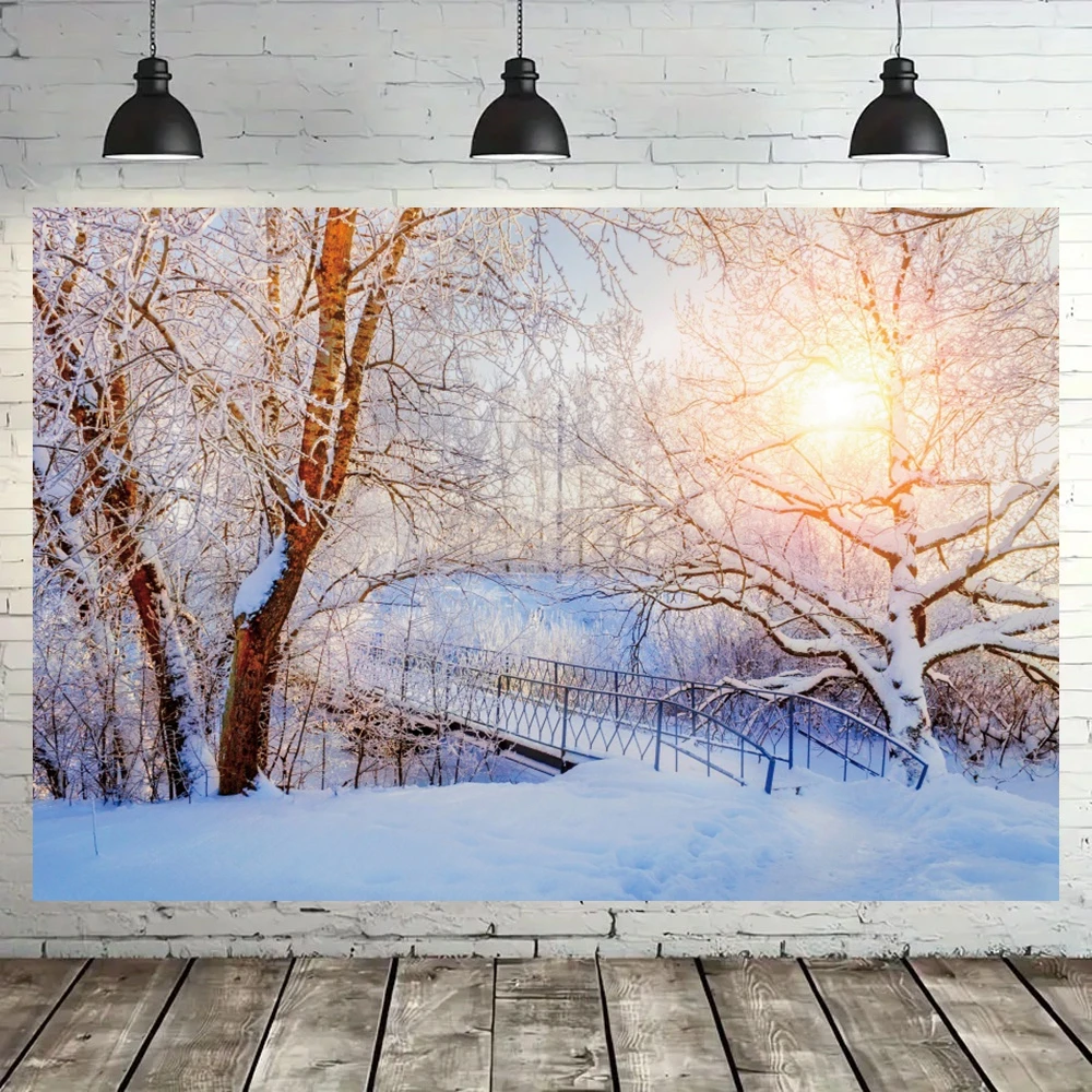 الشتاء الأبيض الغابات عيد الميلاد صور الخلفيات الثلوج ضوء الشمس ديكور الأسرة حزب أطفال الكبار صورة الخلفيات للصور