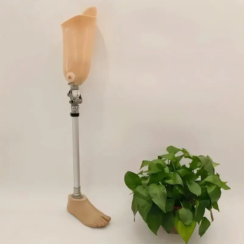 Durable AK Prosthesis Components Above Knee Joint System for Amputees Orthotic Leg Support Walking Rehabilitation