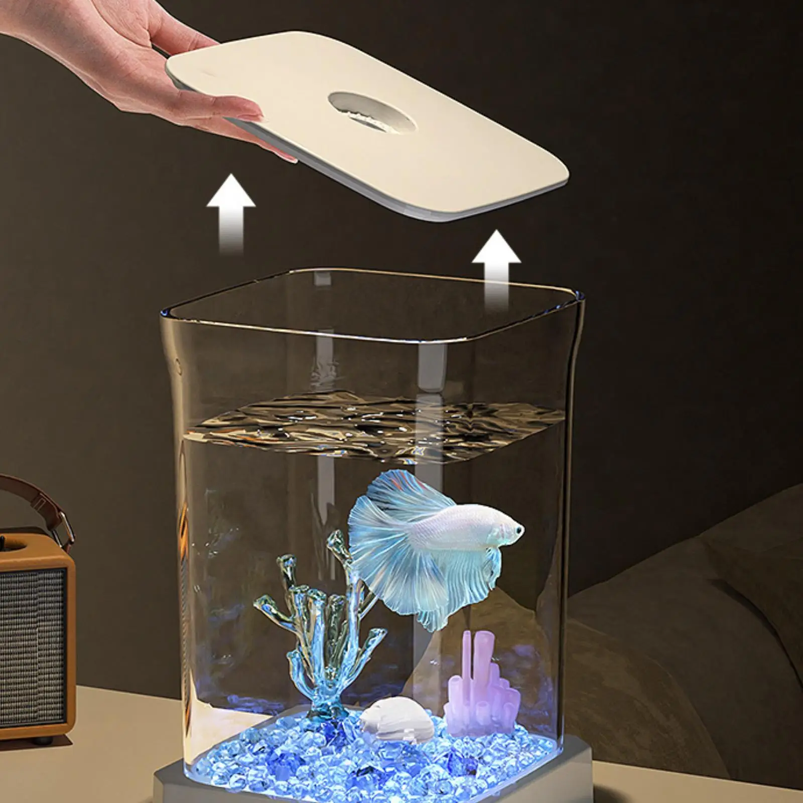 Fish Tank Acrylic Fish Bowl Reptile Terrarium Tank Small Goldfish Tank Multiuse for Home Desktop Living Room Office Turtle Fish Tank Acrylic Fish Bowl Reptile Terrarium Tank Small Goldfish Tank Multiuse for Home Desktop Living Room Office Turtle