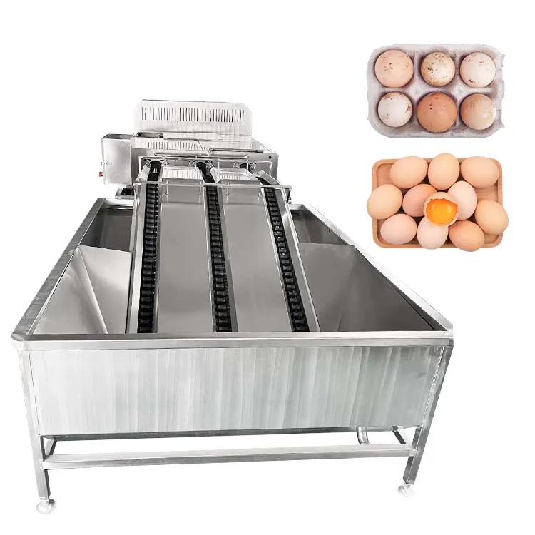 

Cleaning Washer Automatic Cleaner for Processing and Duck Equipment Line Commercial Stainless Steel High & Egg Washing Machine