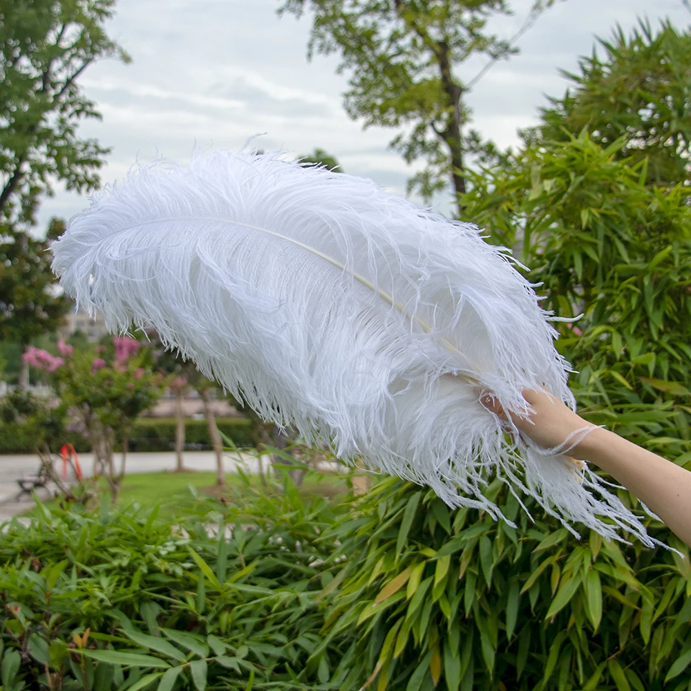 10 50 100 500PCS Ostrich feather Natural White Black Ostrich plumas for Party Wedding Table Centerpiece feathers Decorative