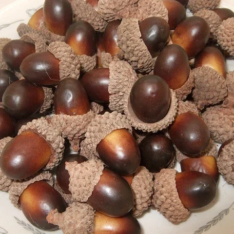 

10Pcs Simulation Oak Nut Artificial Fruit&Vegetables Foam Fake Mini Acorn Oak Nut Ornament Home Decor Wedding Party Decoration