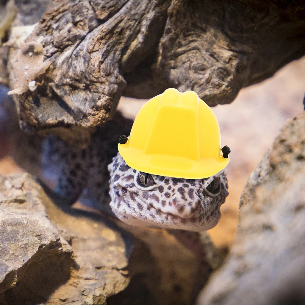 

Chameleon Hat Mini Safety Pet Small Head Decor Lizard Bearded Dragon Tiny Helmets Yellow Easy Wear Photo Prop Reptile
