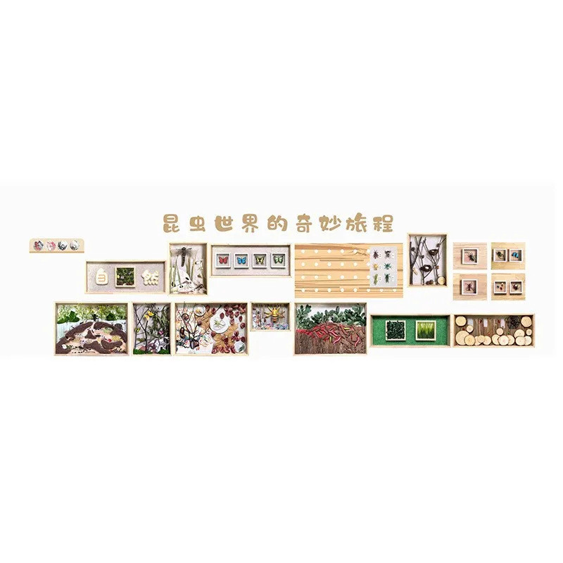 

Huanchuang Insect World Wonderful Travel, Natural Culture Wall School