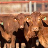 For MJX Hyper Go 14301 14302 14303 1/14RC Car Metal Rear Shell Pillar Body Fixed Pillar Upgraded Parts and Accessories