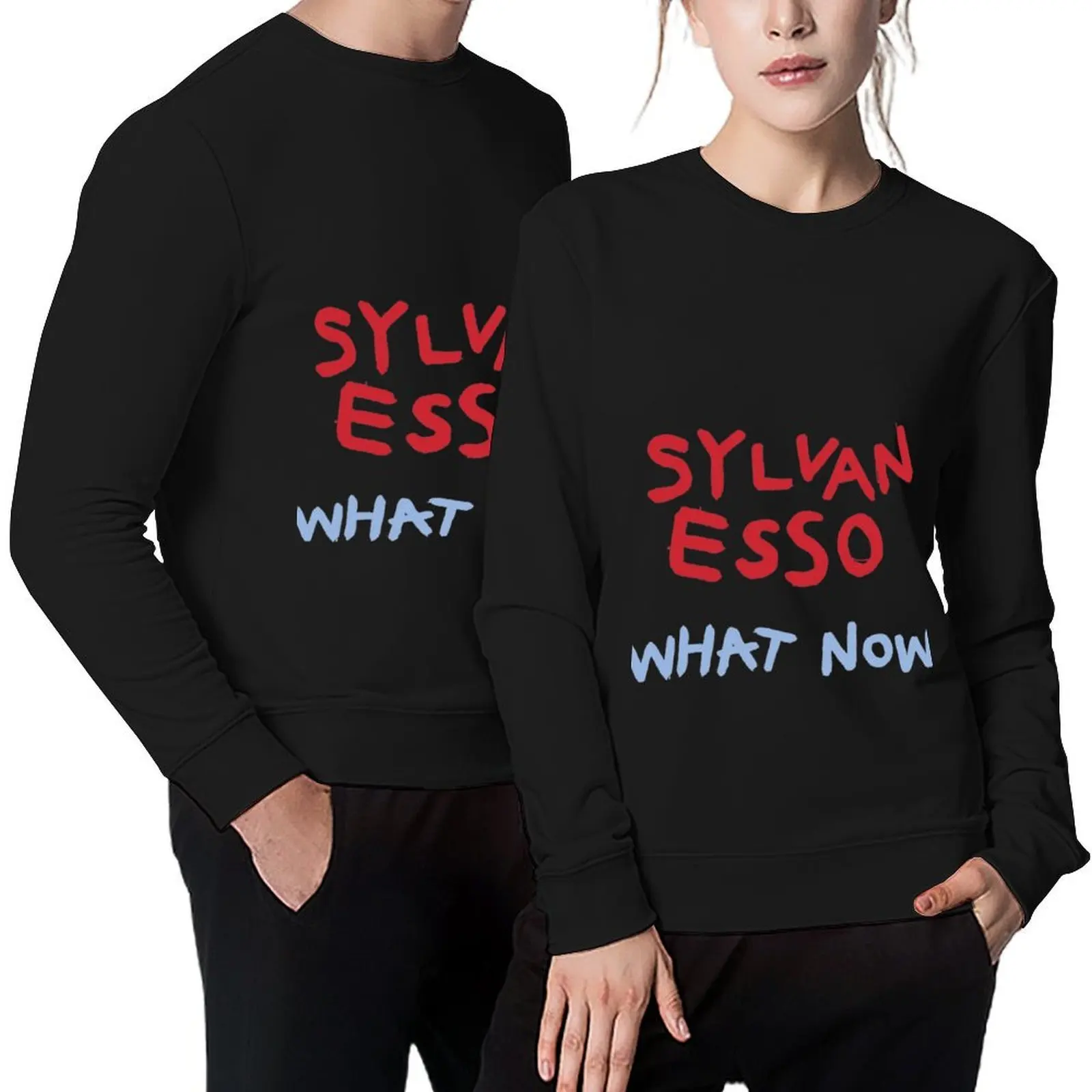 

Sylvan Esso Pullover anime clothing blouse graphic t shirts men men's clothes hooded sweatshirt