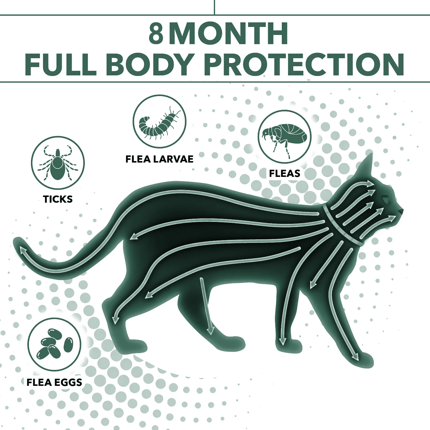 Cat Flea and Tick Collars 8 Month Full Body Protection Same Formula as Seres Silicone Ajustable Flea Collar Cats