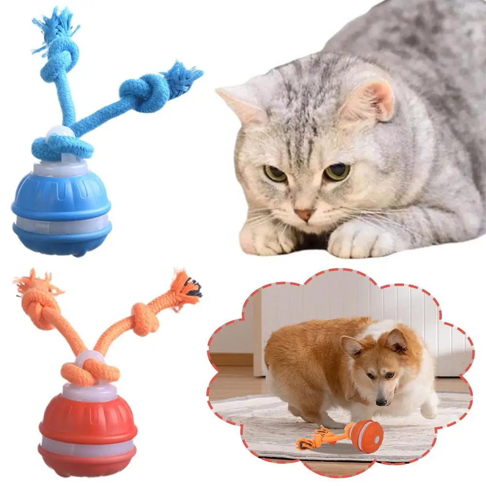 Juguetes Interactivos con Pelota para Perros, Pelota Rodante con Activación por Movimiento para Cachorros/Perros Pequeños, Juguete Automático con Movimiento, Juguete Recargable por USB
