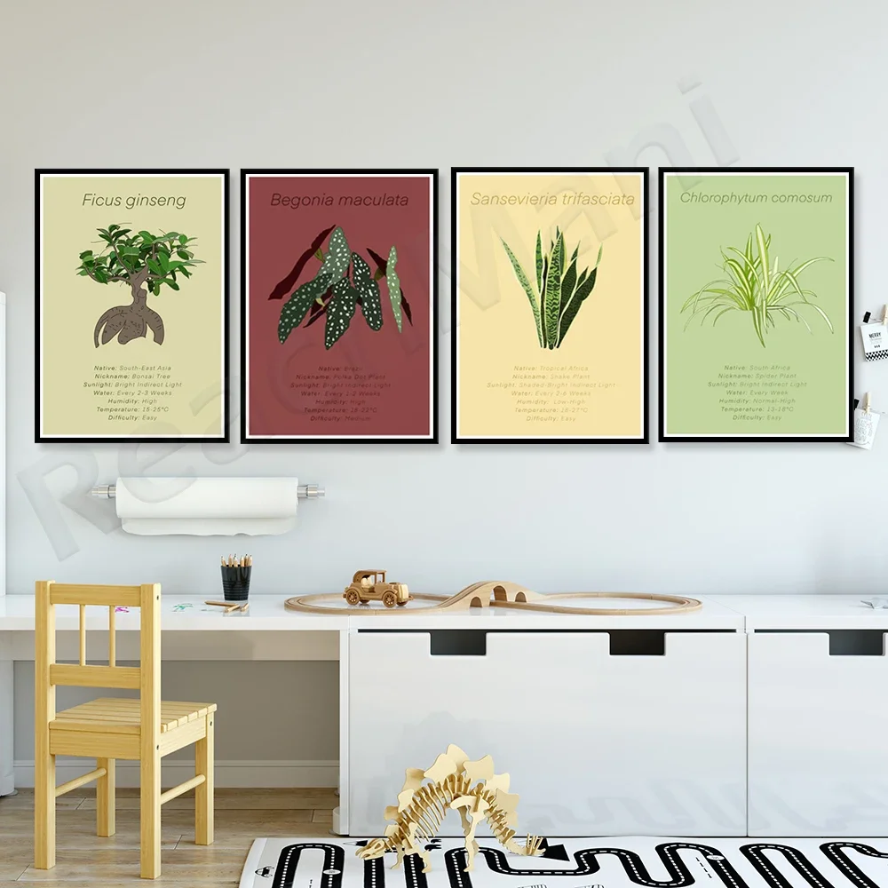 Botanical print, chlorophyll, ficus ginseng, begonia variegated, three-stringed tiger-tail orchid impression plant poster